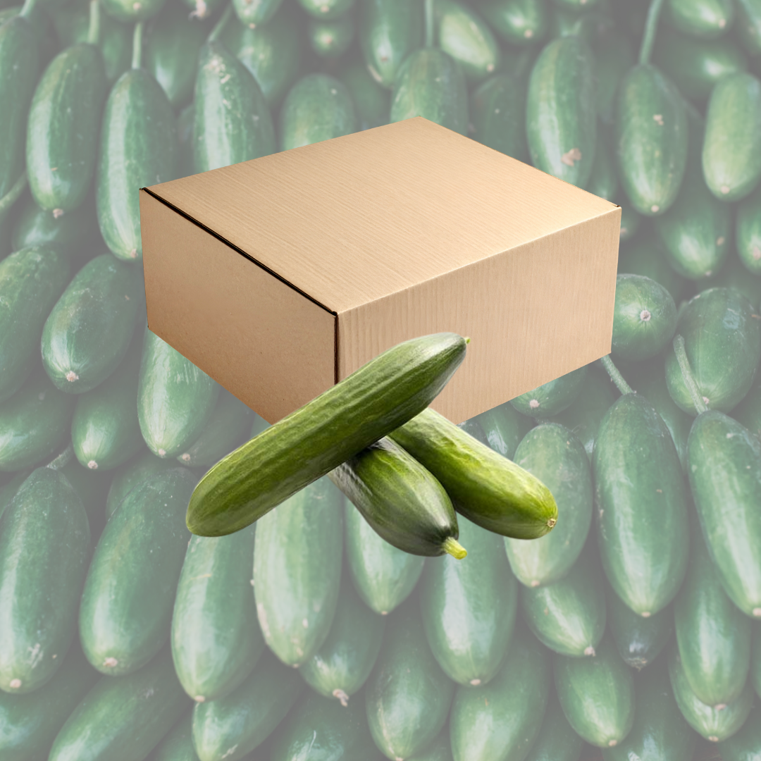 Caja  - 5 kg de pepinos