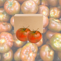 Caja de tomate Carbonero – 5 kg