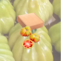 Caja - Tomate Especial Ahuecado