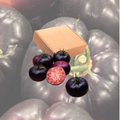 Caja - Tomate Azul 5Kg