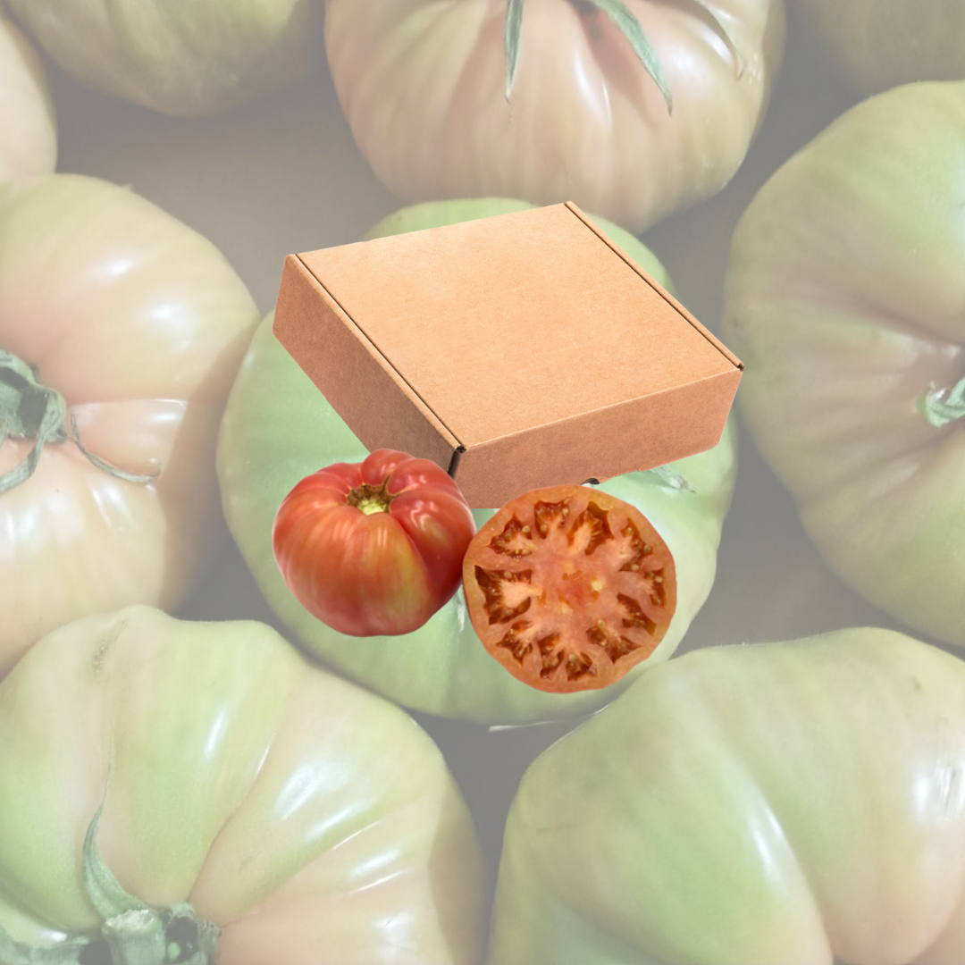Caja de Tomate Rosa Barbastro Cándido – 5 kg