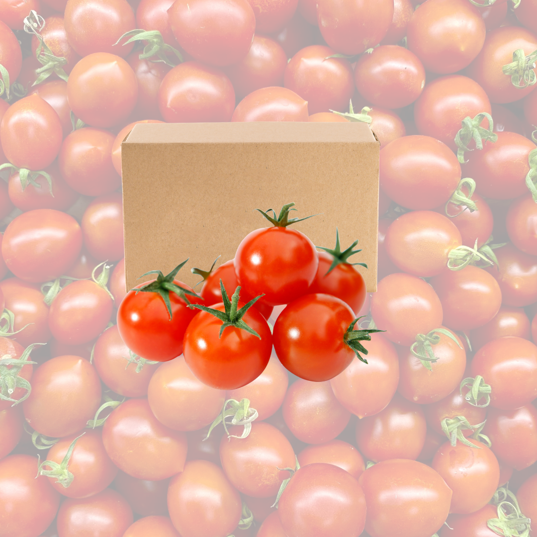 Caja de Tomate Tipo Cóctel – 5 kg