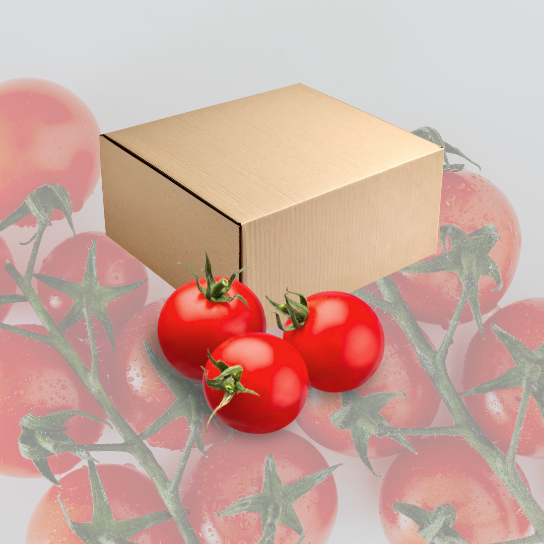 Caja   - 6 Kg Tomate de Penjar (colgar)
