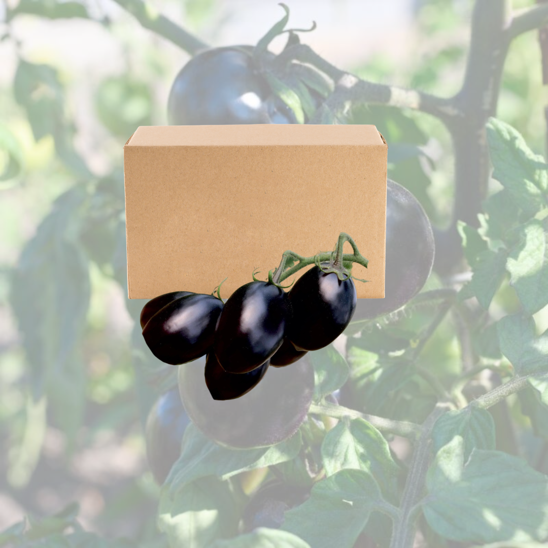 Tomate Pera Negro – Caja 5 kg