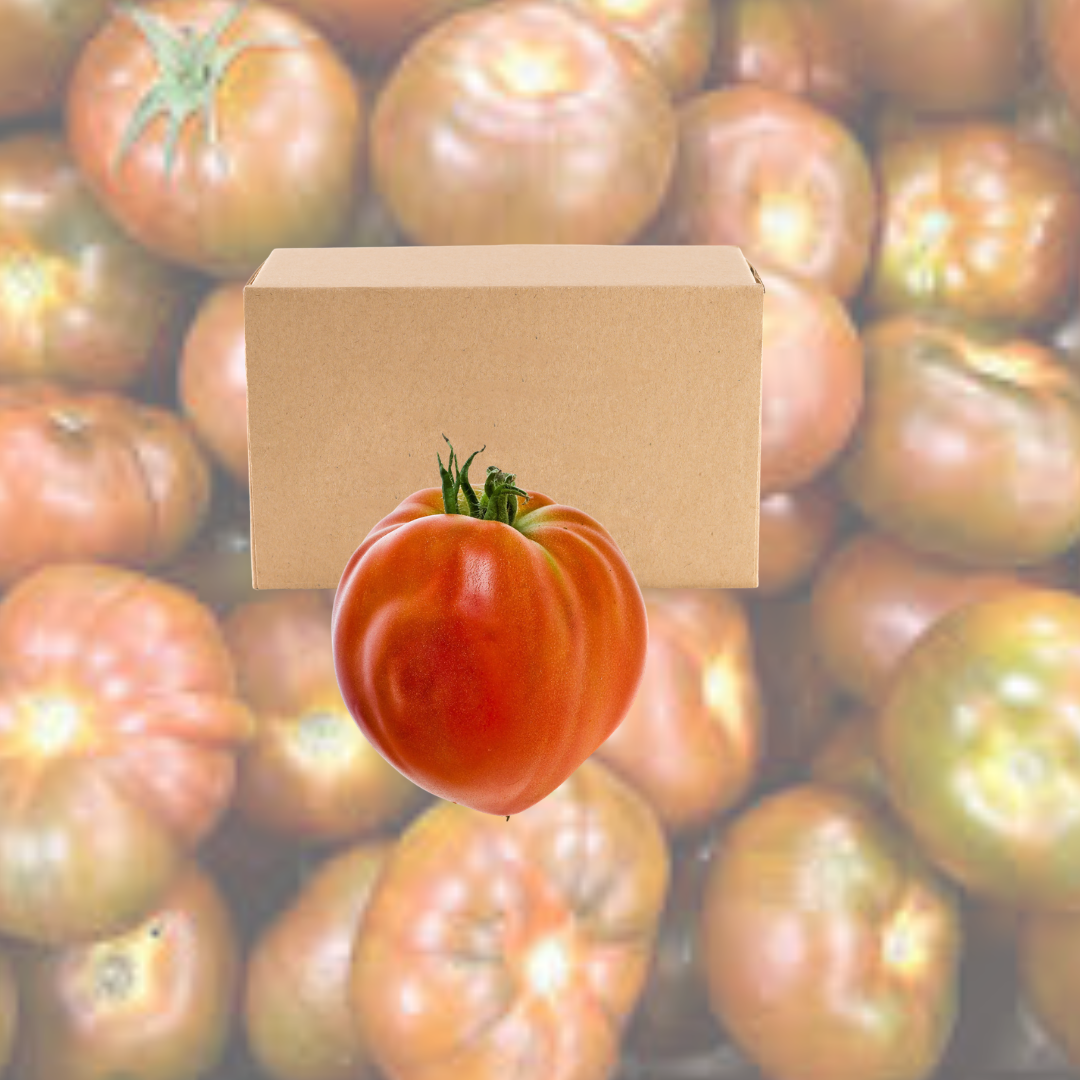 Caja de Tomate Valenciano – 5 kg